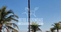 Fazenda `Venda 57 alqueires Alta Produtividade para Pecuária | Quissamã/ RJ Fazenda `Venda 57 alqueires Alta Produtividade para Pecuária | Quissamã/ RJ