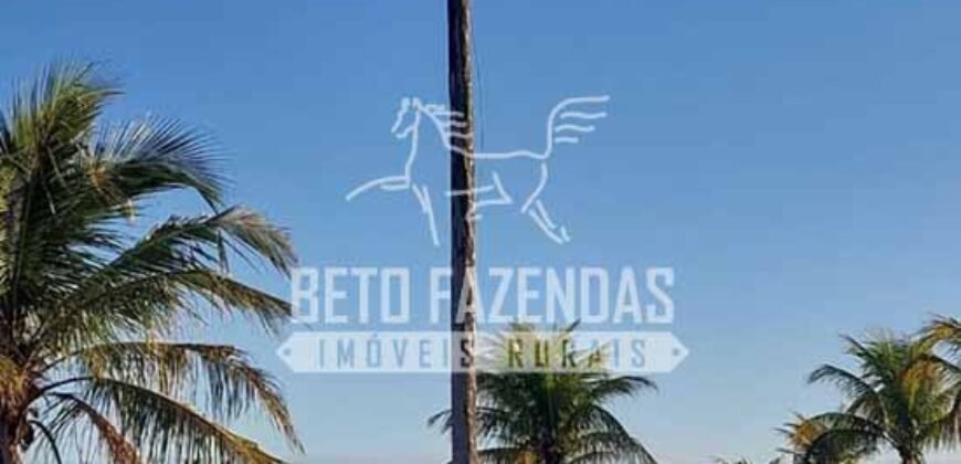 Fazenda `Venda 57 alqueires Alta Produtividade para Pecuária | Quissamã/ RJ Fazenda `Venda 57 alqueires Alta Produtividade para Pecuária | Quissamã/ RJ