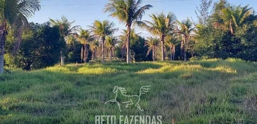 Fazenda `Venda 57 alqueires Alta Produtividade para Pecuária | Quissamã/ RJ Fazenda `Venda 57 alqueires Alta Produtividade para Pecuária | Quissamã/ RJ