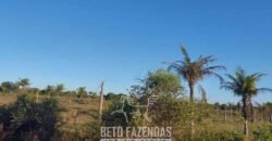 Fazenda `Venda 57 alqueires Alta Produtividade para Pecuária | Quissamã/ RJ Fazenda `Venda 57 alqueires Alta Produtividade para Pecuária | Quissamã/ RJ