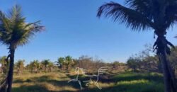 Fazenda `Venda 57 alqueires Alta Produtividade para Pecuária | Quissamã/ RJ Fazenda `Venda 57 alqueires Alta Produtividade para Pecuária | Quissamã/ RJ