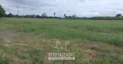 Fazenda `Venda 57 alqueires Alta Produtividade para Pecuária | Quissamã/ RJ Fazenda `Venda 57 alqueires Alta Produtividade para Pecuária | Quissamã/ RJ