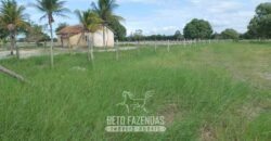 Fazenda `Venda 57 alqueires Alta Produtividade para Pecuária | Quissamã/ RJ Fazenda `Venda 57 alqueires Alta Produtividade para Pecuária | Quissamã/ RJ