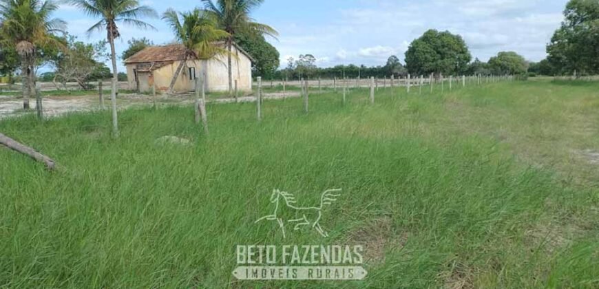 Fazenda `Venda 57 alqueires Alta Produtividade para Pecuária | Quissamã/ RJ Fazenda `Venda 57 alqueires Alta Produtividade para Pecuária | Quissamã/ RJ