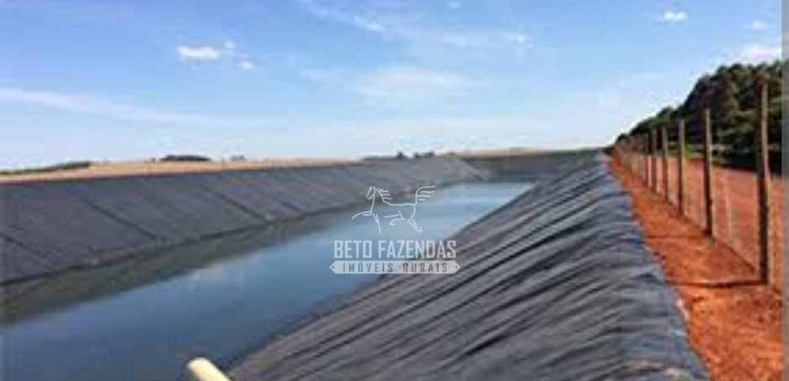 Fazenda à Venda 40.600 hectares Dupla Aptidão e Pista de Pouso | Vale do Araguaia/ TO