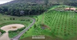 Haras Alto Padrão 96,8 Hectares para Treinamentos de Equinos | TERESÓPOLIS/ RJ