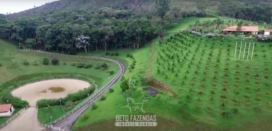 Haras Alto Padrão 96,8 Hectares para Treinamentos de Equinos | TERESÓPOLIS/ RJ
