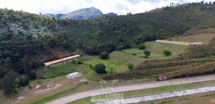 Haras Alto Padrão 96,8 Hectares para Treinamentos de Equinos | TERESÓPOLIS/ RJ