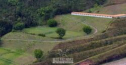 Haras Alto Padrão 96,8 Hectares para Treinamentos de Equinos | TERESÓPOLIS/ RJ