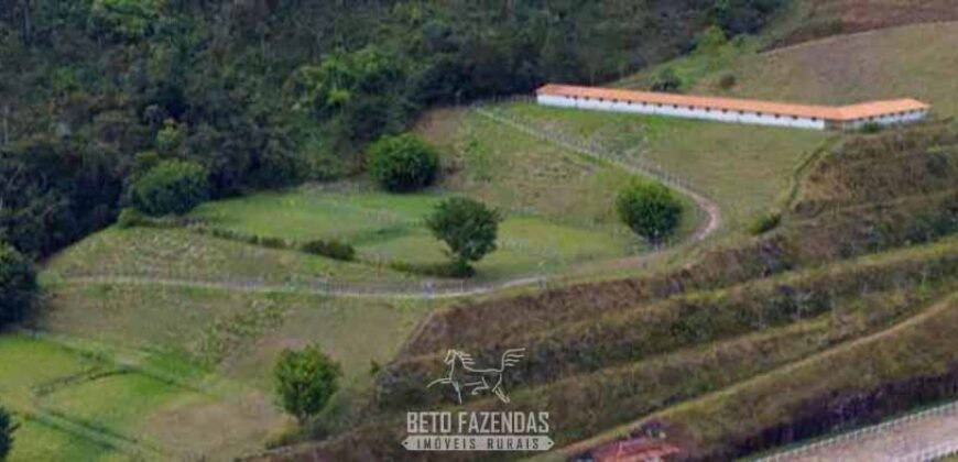 Haras Alto Padrão 96,8 Hectares para Treinamentos de Equinos | TERESÓPOLIS/ RJ