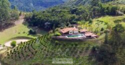 Haras Alto Padrão 96,8 Hectares para Treinamentos de Equinos | TERESÓPOLIS/ RJ