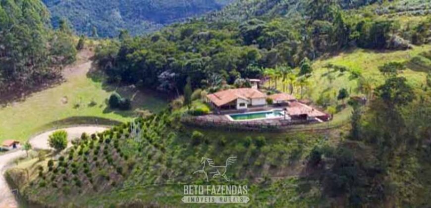 Haras Alto Padrão 96,8 Hectares para Treinamentos de Equinos | TERESÓPOLIS/ RJ