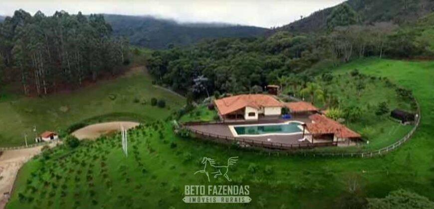 Haras Alto Padrão 96,8 Hectares para Treinamentos de Equinos | TERESÓPOLIS/ RJ