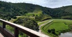 Haras Alto Padrão 96,8 Hectares para Treinamentos de Equinos | TERESÓPOLIS/ RJ