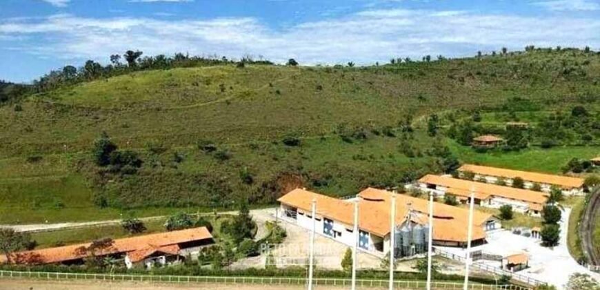 Haras Alto Padrão 96,8 Hectares para Treinamentos de Equinos | TERESÓPOLIS/ RJ