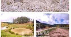 Haras Alto Padrão 96,8 Hectares para Treinamentos de Equinos | TERESÓPOLIS/ RJ