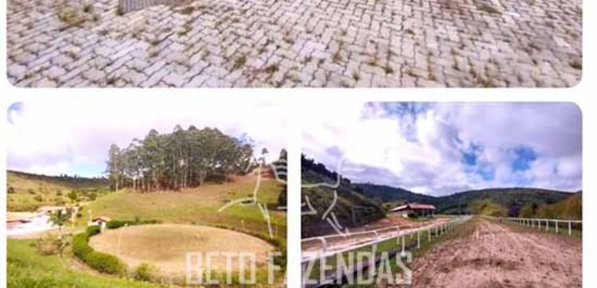 Haras Alto Padrão 96,8 Hectares para Treinamentos de Equinos | TERESÓPOLIS/ RJ