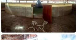 Haras Alto Padrão 96,8 Hectares para Treinamentos de Equinos | TERESÓPOLIS/ RJ