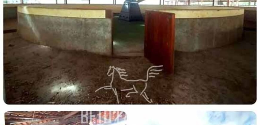 Haras Alto Padrão 96,8 Hectares para Treinamentos de Equinos | TERESÓPOLIS/ RJ