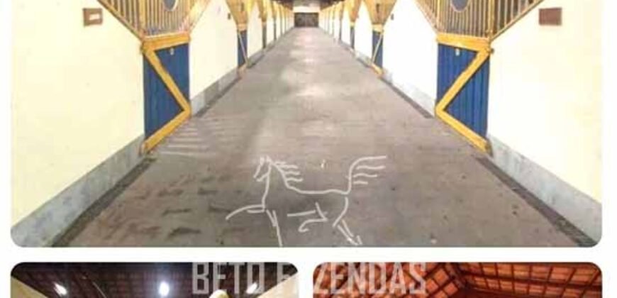 Haras Alto Padrão 96,8 Hectares para Treinamentos de Equinos | TERESÓPOLIS/ RJ