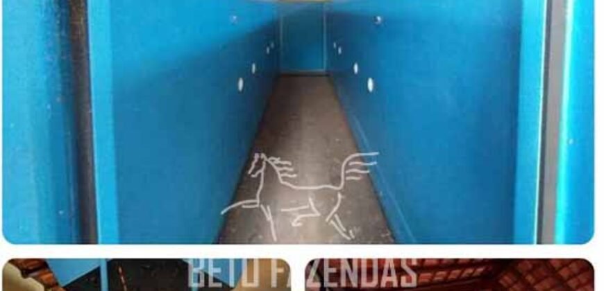 Haras Alto Padrão 96,8 Hectares para Treinamentos de Equinos | TERESÓPOLIS/ RJ