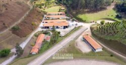 Haras Alto Padrão 96,8 Hectares para Treinamentos de Equinos | TERESÓPOLIS/ RJ