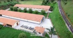 Haras Alto Padrão 96,8 Hectares para Treinamentos de Equinos | TERESÓPOLIS/ RJ