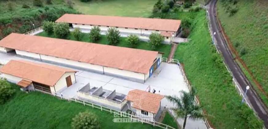 Haras Alto Padrão 96,8 Hectares para Treinamentos de Equinos | TERESÓPOLIS/ RJ