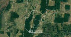 Megafazenda 53.000 hectares de Dupla Aptidão à Venda no Sul do Pará