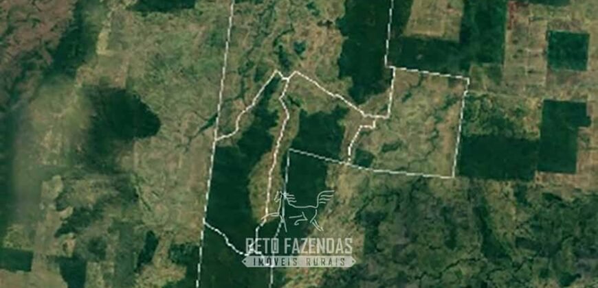 Megafazenda 53.000 hectares de Dupla Aptidão à Venda no Sul do Pará