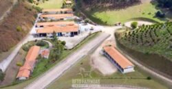 Haras Alto Padrão 96,8 Hectares para Treinamentos de Equinos | TERESÓPOLIS/ RJ