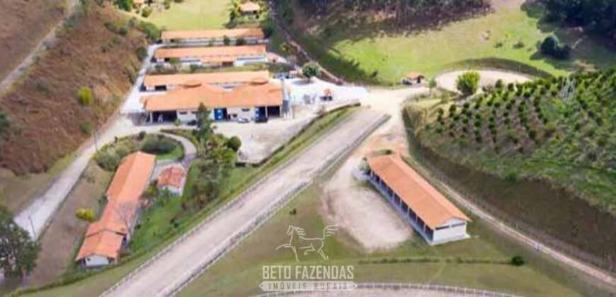 Haras Alto Padrão 96,8 Hectares para Treinamentos de Equinos | TERESÓPOLIS/ RJ
