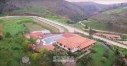 Haras Alto Padrão 96,8 Hectares para Treinamentos de Equinos | TERESÓPOLIS/ RJ