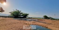 Megafazenda 53.000 hectares de Dupla Aptidão à Venda no Sul do Pará