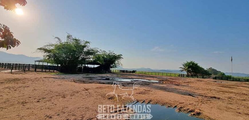 Megafazenda 53.000 hectares de Dupla Aptidão à Venda no Sul do Pará