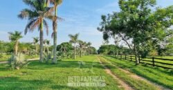 Megafazenda 53.000 hectares de Dupla Aptidão à Venda no Sul do Pará