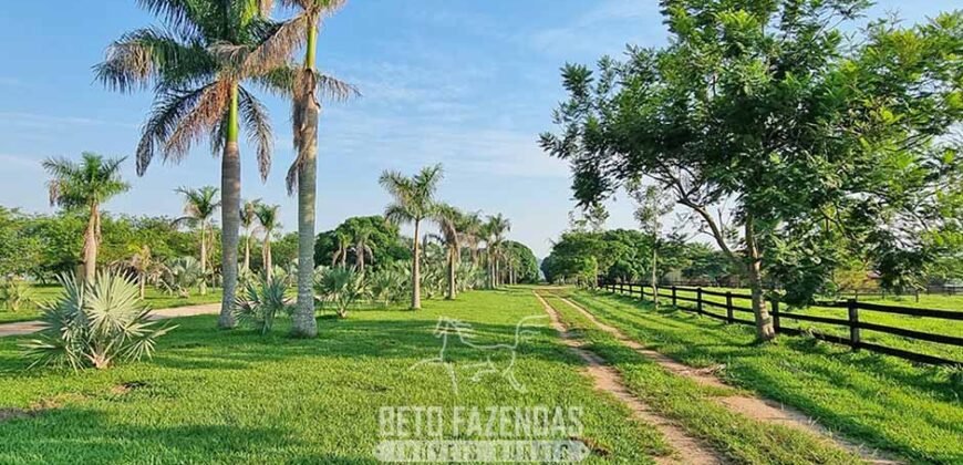 Megafazenda 53.000 hectares de Dupla Aptidão à Venda no Sul do Pará