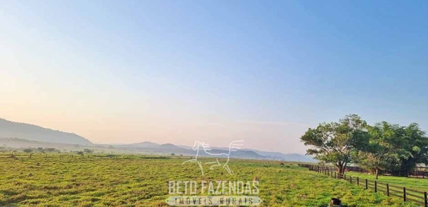 Megafazenda 53.000 hectares de Dupla Aptidão à Venda no Sul do Pará