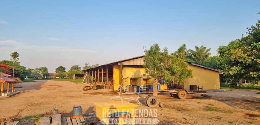 Megafazenda 53.000 hectares de Dupla Aptidão à Venda no Sul do Pará