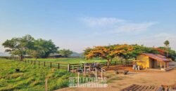 Megafazenda 53.000 hectares de Dupla Aptidão à Venda no Sul do Pará