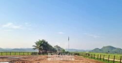 Megafazenda 53.000 hectares de Dupla Aptidão à Venda no Sul do Pará