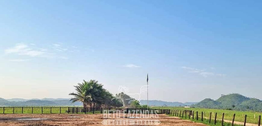 Megafazenda 53.000 hectares de Dupla Aptidão à Venda no Sul do Pará