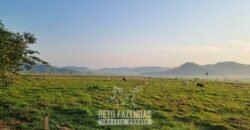 Megafazenda 53.000 hectares de Dupla Aptidão à Venda no Sul do Pará