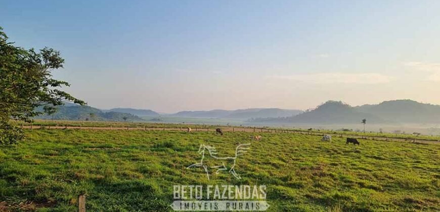 Megafazenda 53.000 hectares de Dupla Aptidão à Venda no Sul do Pará