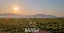 Megafazenda 53.000 hectares de Dupla Aptidão à Venda no Sul do Pará