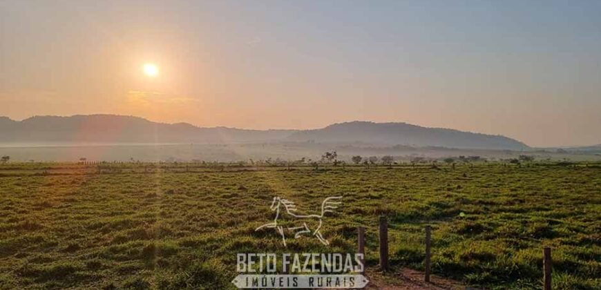 Megafazenda 53.000 hectares de Dupla Aptidão à Venda no Sul do Pará