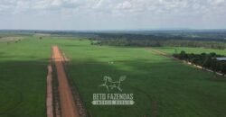 Fazenda à Venda 8.228 Hectares Potencial para Pecuária e Soja | Araguaina/TO