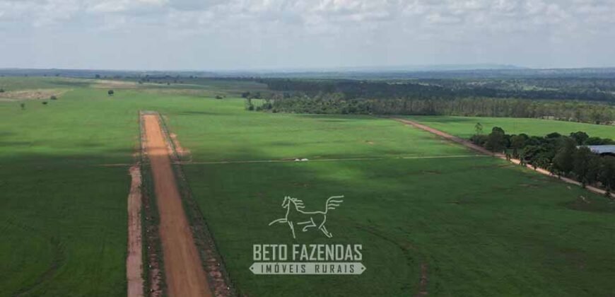 Fazenda à Venda 8.228 Hectares Potencial para Pecuária e Soja | Araguaina/TO