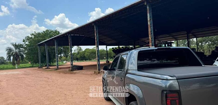 Fazenda à Venda 8.228 Hectares Potencial para Pecuária e Soja | Araguaina/TO