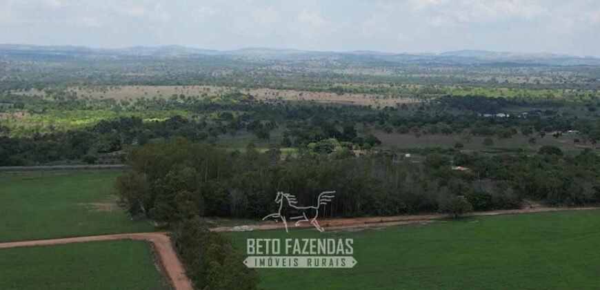 Fazenda à Venda 8.228 Hectares Potencial para Pecuária e Soja | Araguaina/TO